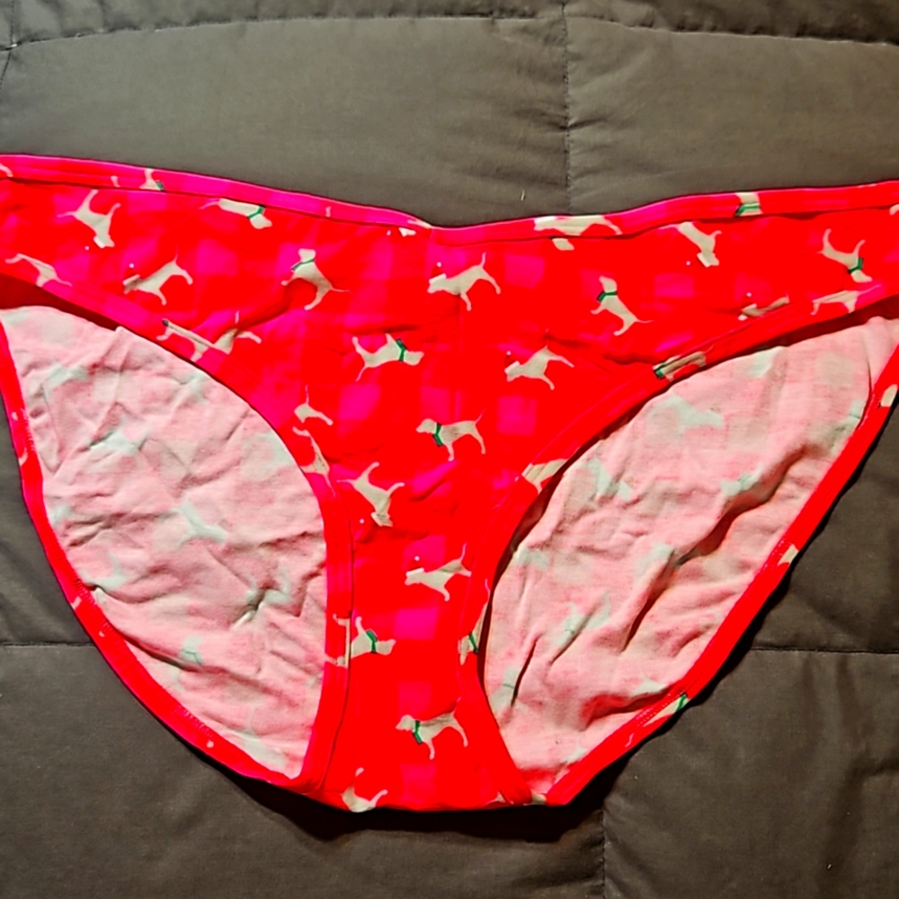 Pink Victoria's Secret panty